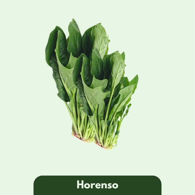 Horenso