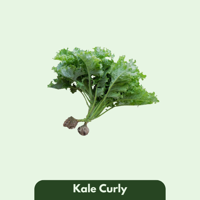 Kale Curly