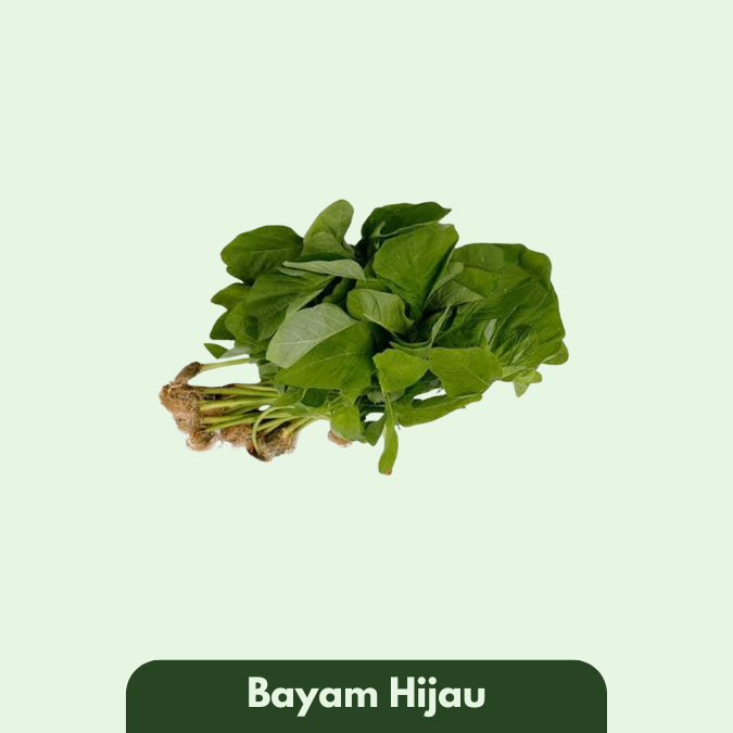 Bayam Hijau
