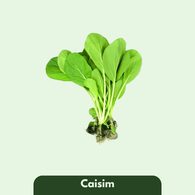 Caism