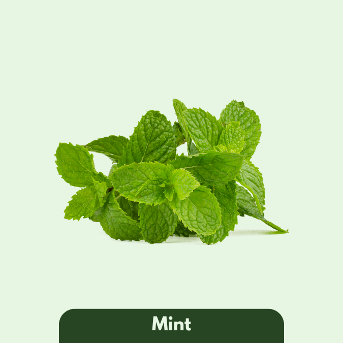 Mint