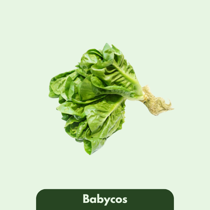 Babycos
