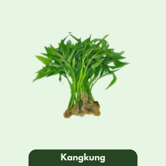 Kangkung