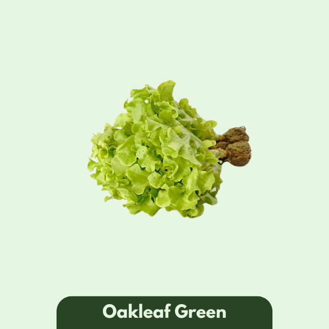 Oakleaf Green